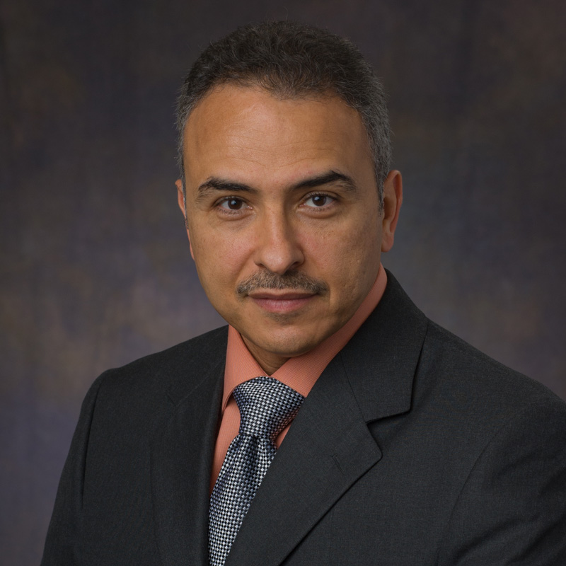 Hossam Hassanein