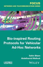 Bio-Inspired Vehicular AdHoc Network Routing