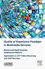Quality of Experience Paradigm